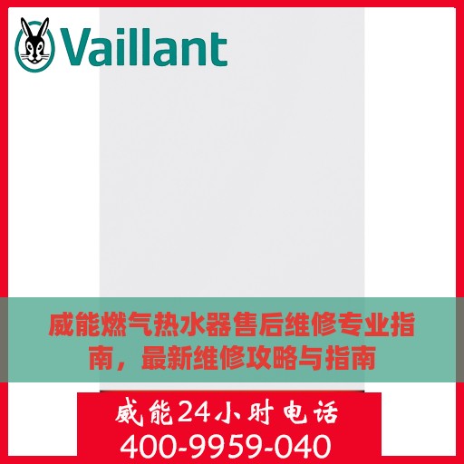 威能燃气热水器售后维修专业指南，最新维修攻略与指南