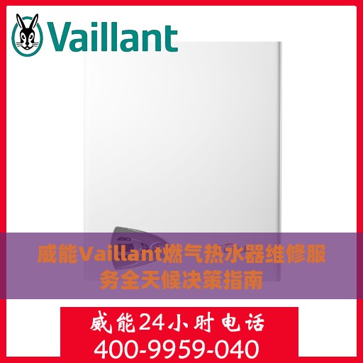 威能Vaillant燃气热水器维修服务全天候决策指南