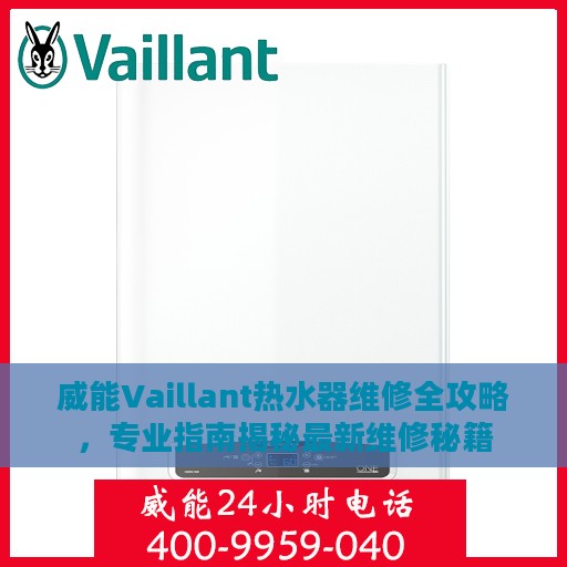 威能Vaillant热水器维修全攻略，专业指南揭秘最新维修秘籍