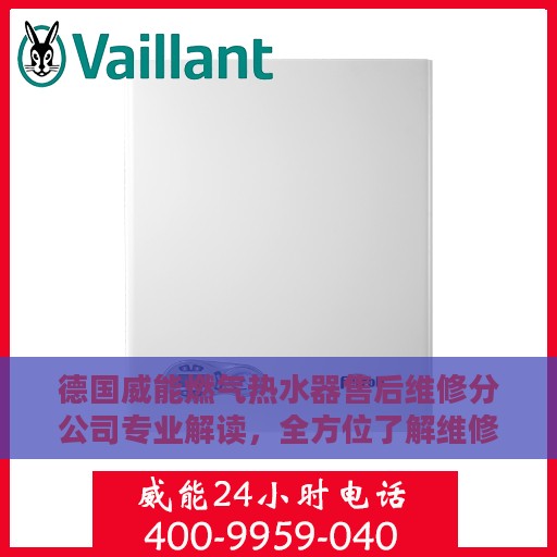 德国威能燃气热水器售后维修分公司专业解读，全方位了解维修细节与服务质量