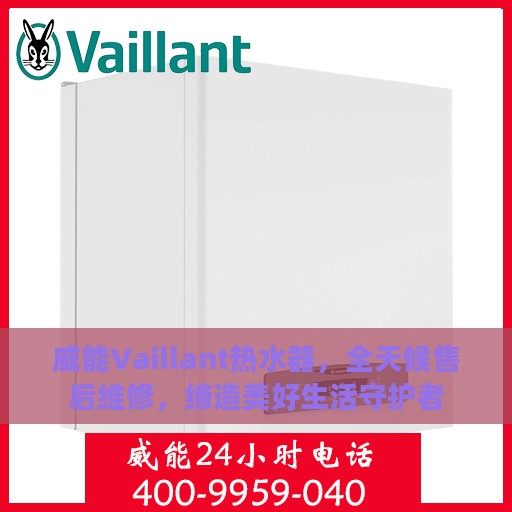 威能Vaillant热水器，全天候售后维修，缔造美好生活守护者