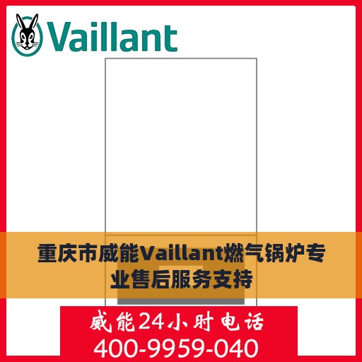 重庆市威能Vaillant燃气锅炉专业售后服务支持