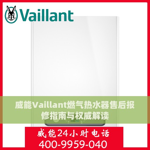 威能Vaillant燃气热水器售后报修指南与权威解读