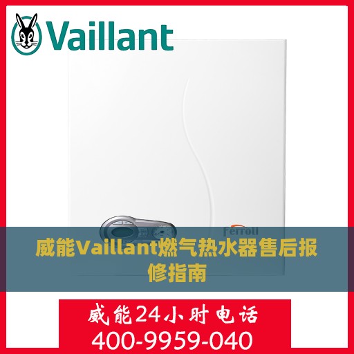 威能Vaillant燃气热水器售后报修指南