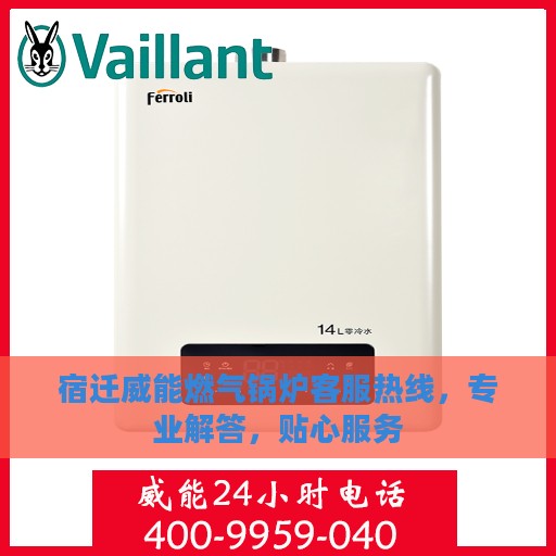 宿迁威能燃气锅炉客服热线，专业解答，贴心服务