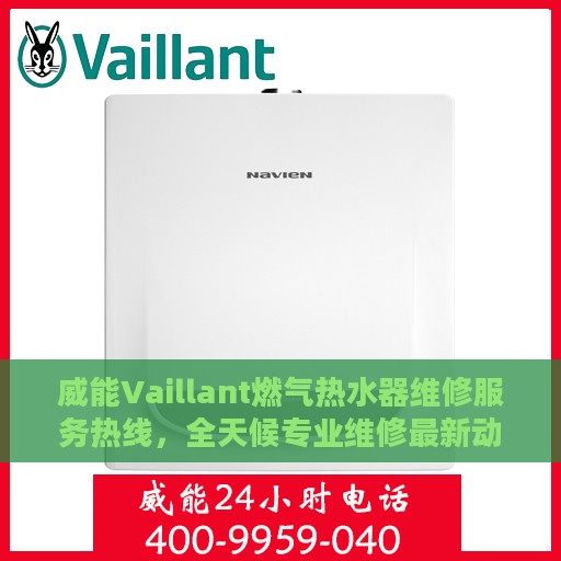 威能Vaillant燃气热水器维修服务热线，全天候专业维修最新动态解析