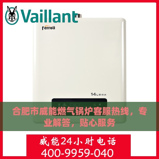 合肥市威能燃气锅炉客服热线，专业解答，贴心服务