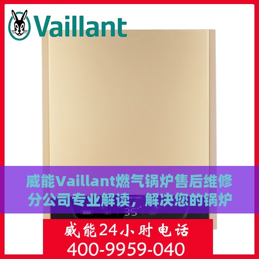 威能Vaillant燃气锅炉售后维修分公司专业解读，解决您的锅炉问题之道