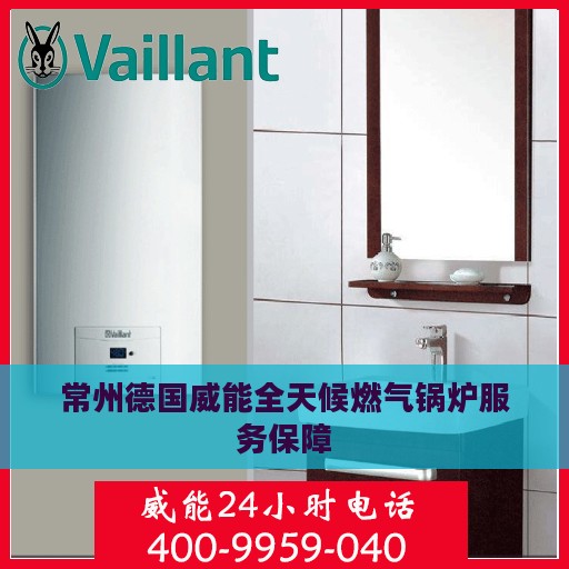 常州德国威能全天候燃气锅炉服务保障