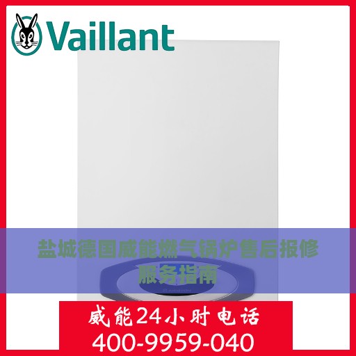 盐城德国威能燃气锅炉售后报修服务指南