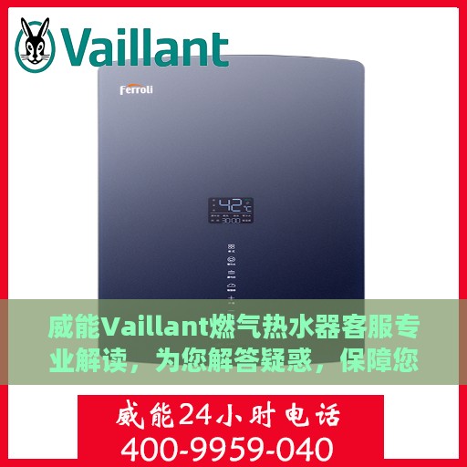 威能Vaillant燃气热水器客服专业解读，为您解答疑惑，保障您的热水体验