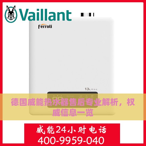 德国威能热水器售后专业解析，权威信息一览