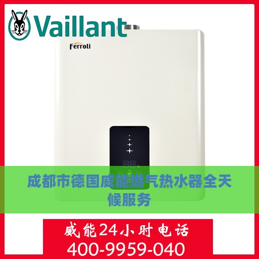 成都市德国威能燃气热水器全天候服务
