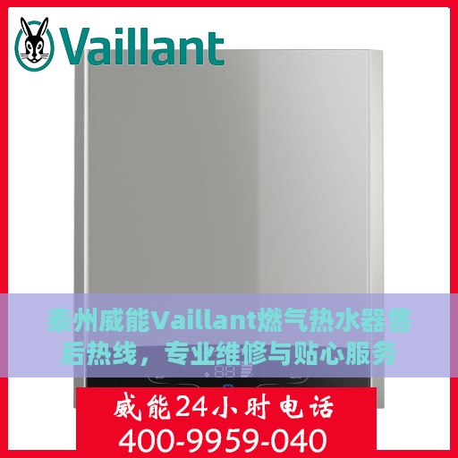 泰州威能Vaillant燃气热水器售后热线，专业维修与贴心服务