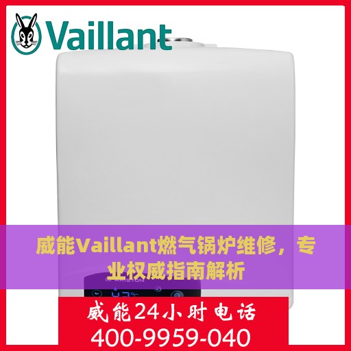 威能Vaillant燃气锅炉维修，专业权威指南解析