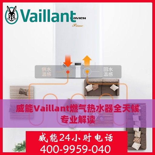 威能Vaillant燃气热水器全天候专业解读