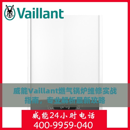 威能Vaillant燃气锅炉维修实战指南，专业解析最新攻略