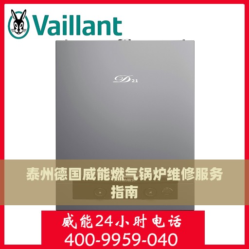 泰州德国威能燃气锅炉维修服务指南