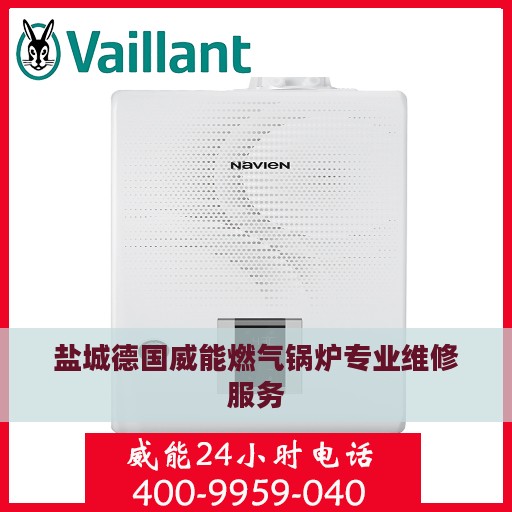 盐城德国威能燃气锅炉专业维修服务