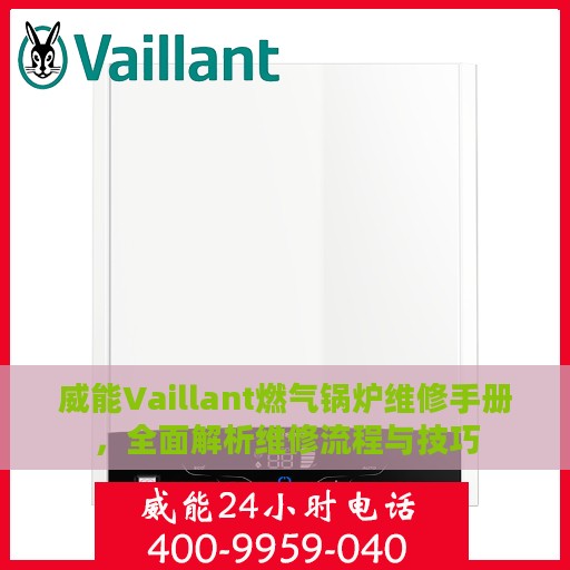 威能Vaillant燃气锅炉维修手册，全面解析维修流程与技巧