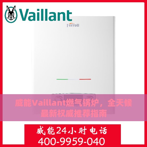 威能Vaillant燃气锅炉，全天候最新权威推荐指南