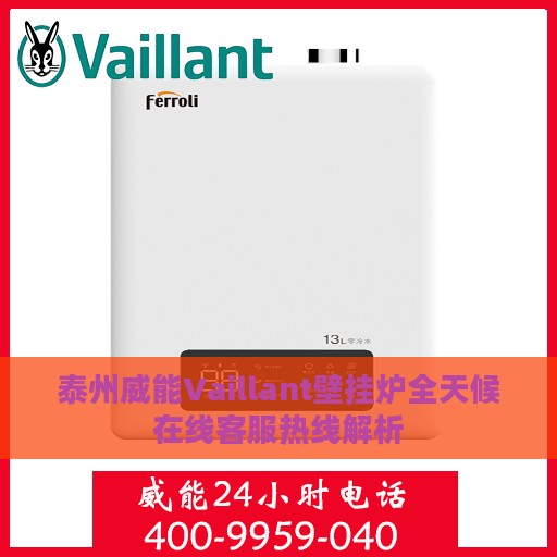 泰州威能Vaillant壁挂炉全天候在线客服热线解析