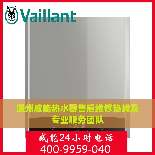 温州威能热水器售后维修热线及专业服务团队