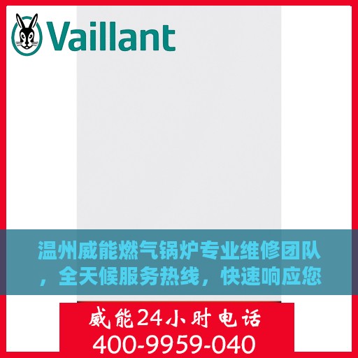 温州威能燃气锅炉专业维修团队，全天候服务热线，快速响应您的需求！