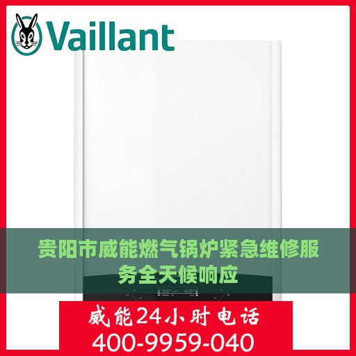 贵阳市威能燃气锅炉紧急维修服务全天候响应