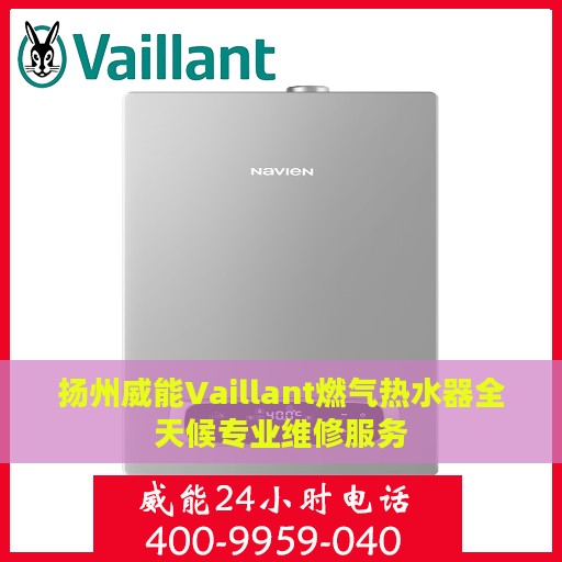 扬州威能Vaillant燃气热水器全天候专业维修服务