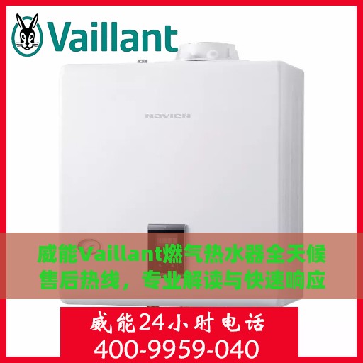 威能Vaillant燃气热水器全天候售后热线，专业解读与快速响应服务