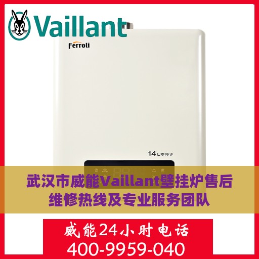 武汉市威能Vaillant壁挂炉售后维修热线及专业服务团队