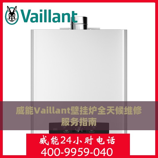 威能Vaillant壁挂炉全天候维修服务指南