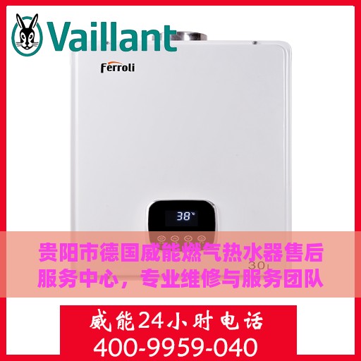 贵阳市德国威能燃气热水器售后服务中心，专业维修与服务团队