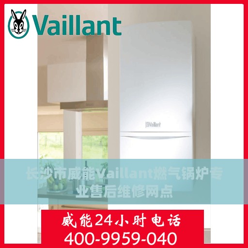 长沙市威能Vaillant燃气锅炉专业售后维修网点