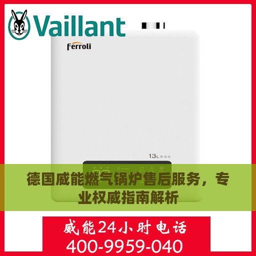 德国威能燃气锅炉售后服务，专业权威指南解析
