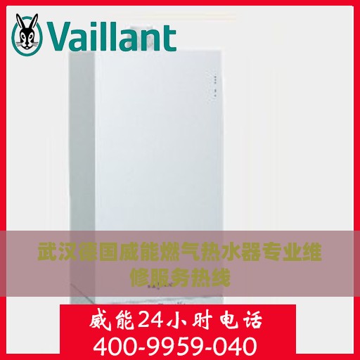 武汉德国威能燃气热水器专业维修服务热线