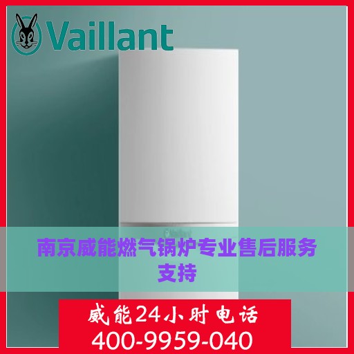 南京威能燃气锅炉专业售后服务支持