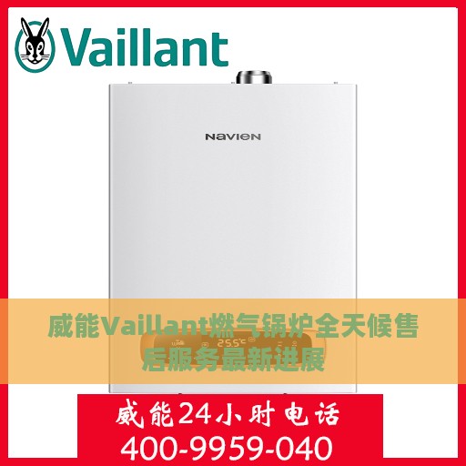 威能Vaillant燃气锅炉全天候售后服务最新进展