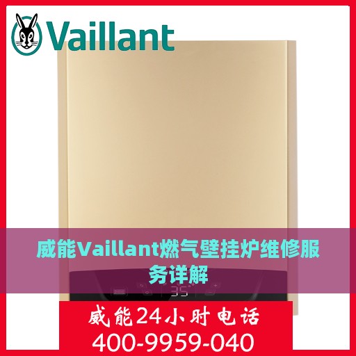 威能Vaillant燃气壁挂炉维修服务详解