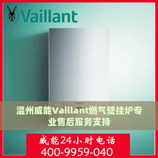 温州威能Vaillant燃气壁挂炉专业售后服务支持