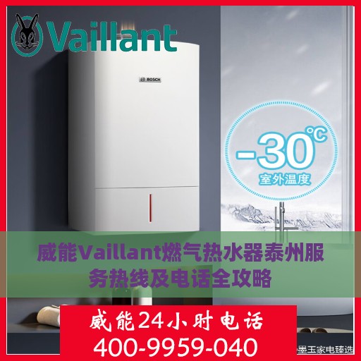 威能Vaillant燃气热水器泰州服务热线及电话全攻略