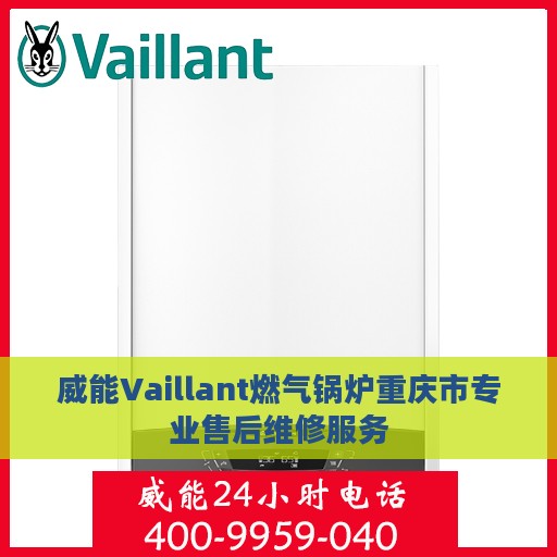 威能Vaillant燃气锅炉重庆市专业售后维修服务