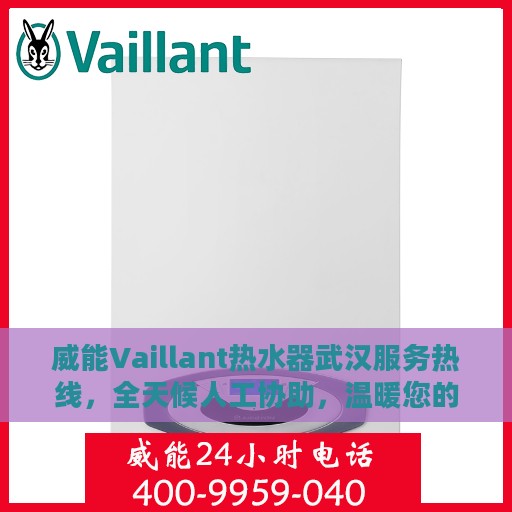 威能Vaillant热水器武汉服务热线，全天候人工协助，温暖您的生活