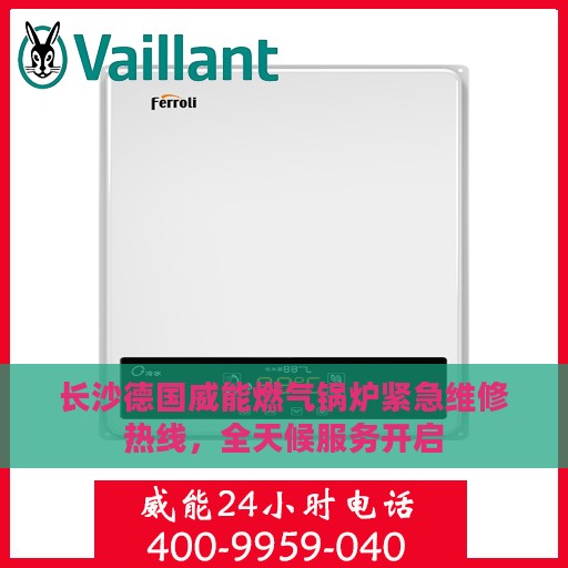 长沙德国威能燃气锅炉紧急维修热线，全天候服务开启