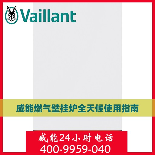 威能燃气壁挂炉全天候使用指南