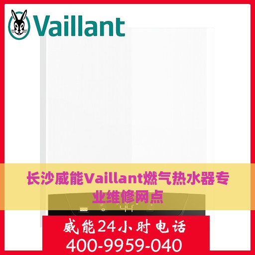 长沙威能Vaillant燃气热水器专业维修网点