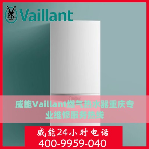 威能Vaillant燃气热水器重庆专业维修服务热线