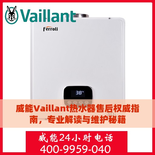 威能Vaillant热水器售后权威指南，专业解读与维护秘籍