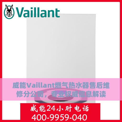 威能Vaillant燃气热水器售后维修分公司，专业权威信息解读